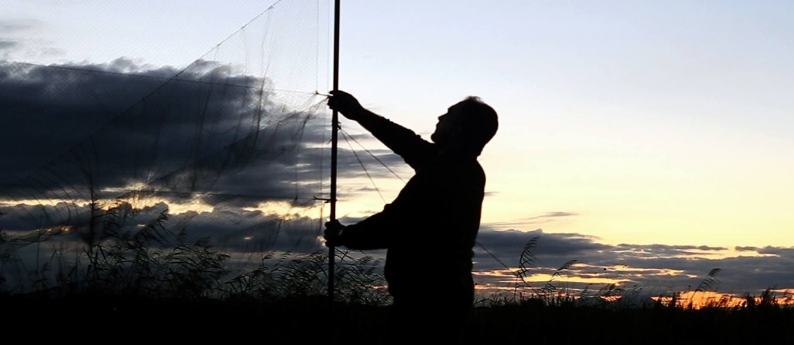 I lungometraggi FILMaP ai Festival internazionali