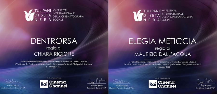 I corti di "Fuori Campo" in concorso al Festival Internazionale della Cinematografia Sociale Tulipani di Seta Nera